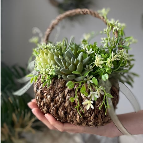 Succulent Basket　No.152