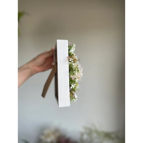 jewelry box succulent. No.117