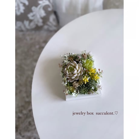 jewelry box succulent. No.117