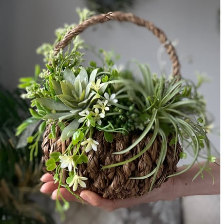 Succulent Basket　No.152