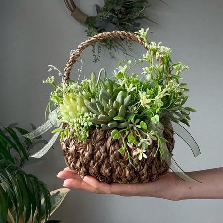 Succulent Basket　No.152