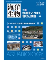 海洋と生物」254号（2021年6月号） 特集『日本の頭足類研究（2