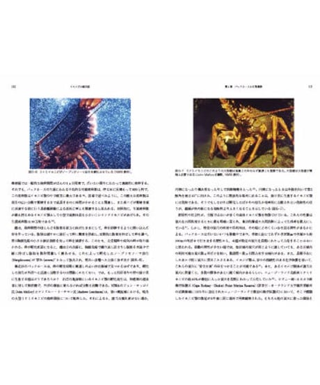 イセエビの総合誌−パックホースの視点から