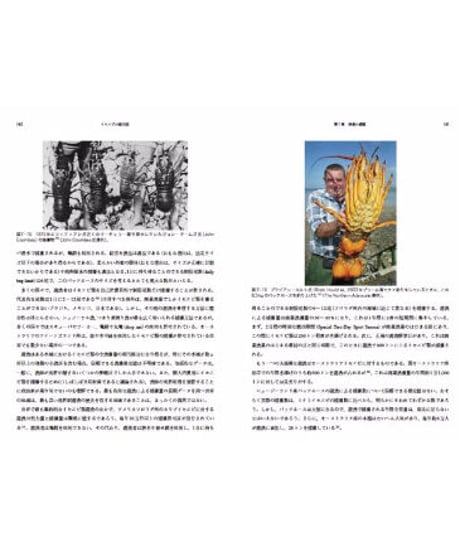 イセエビの総合誌−パックホースの視点から