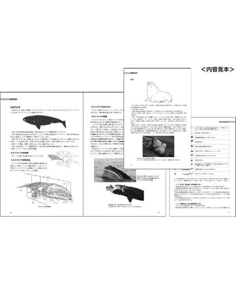 鯨類海産哺乳類学［第三版］