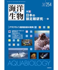 「海洋と生物」254号（2021年6月号）  特集『日本の頭足類研究（2）』