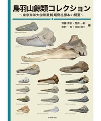 鳥羽山鯨類コレクション
