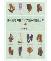 日本産寒海性コンブ類の形態と分類