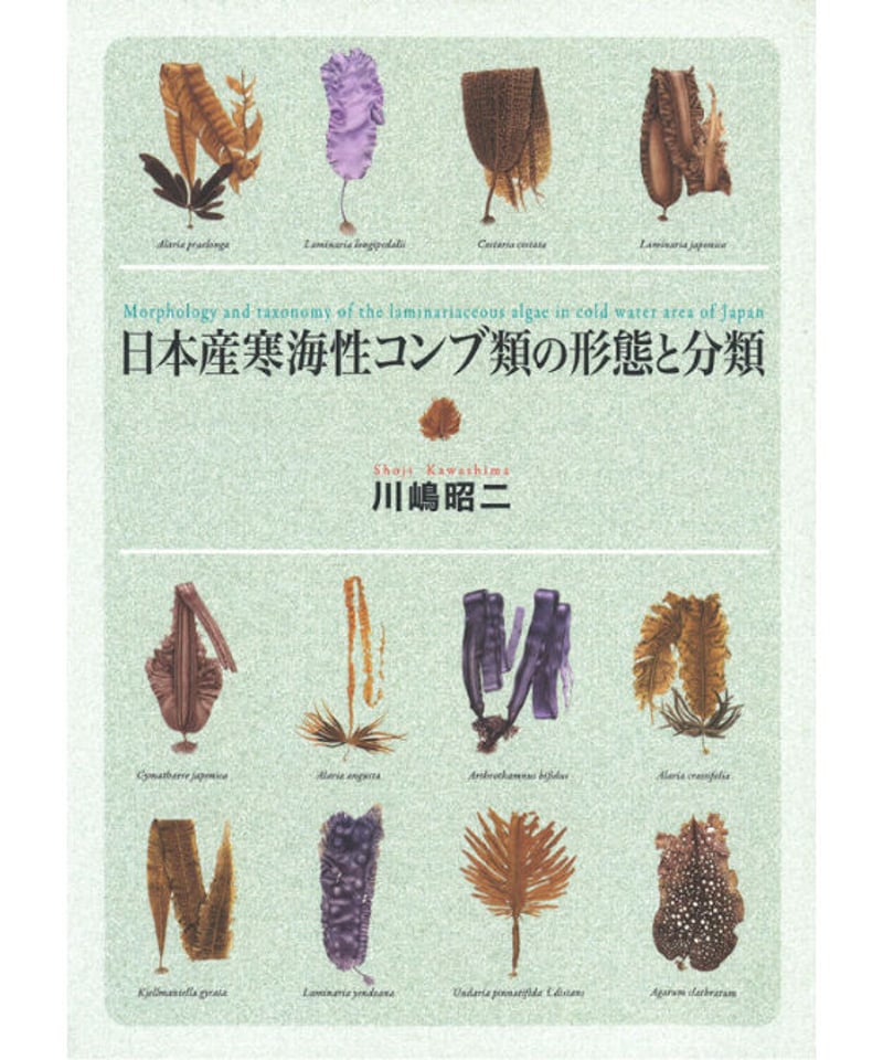 日本産寒海性コンブ類の形態と分類 | 生物研究社の本