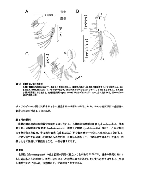 日本産十脚甲殻類の幼生