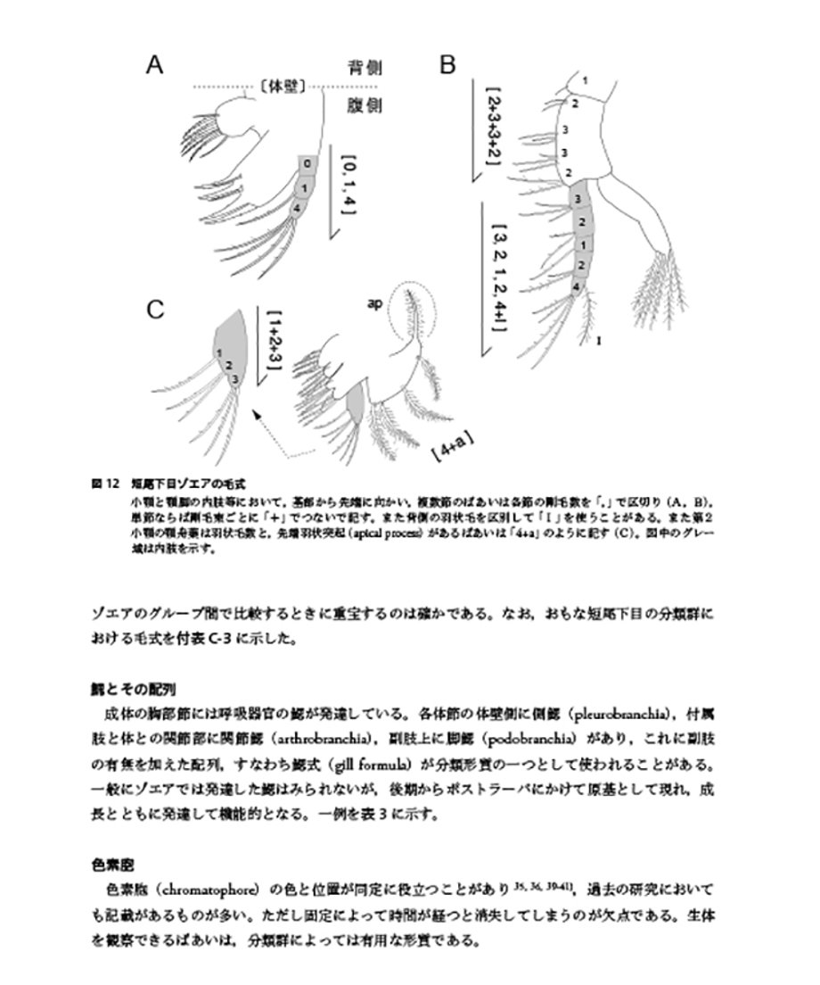 67c6a67d0662f2052cd11073