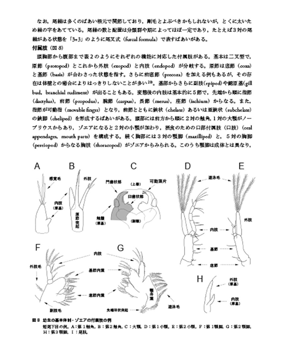 67c6a67d0662f2052cd11073