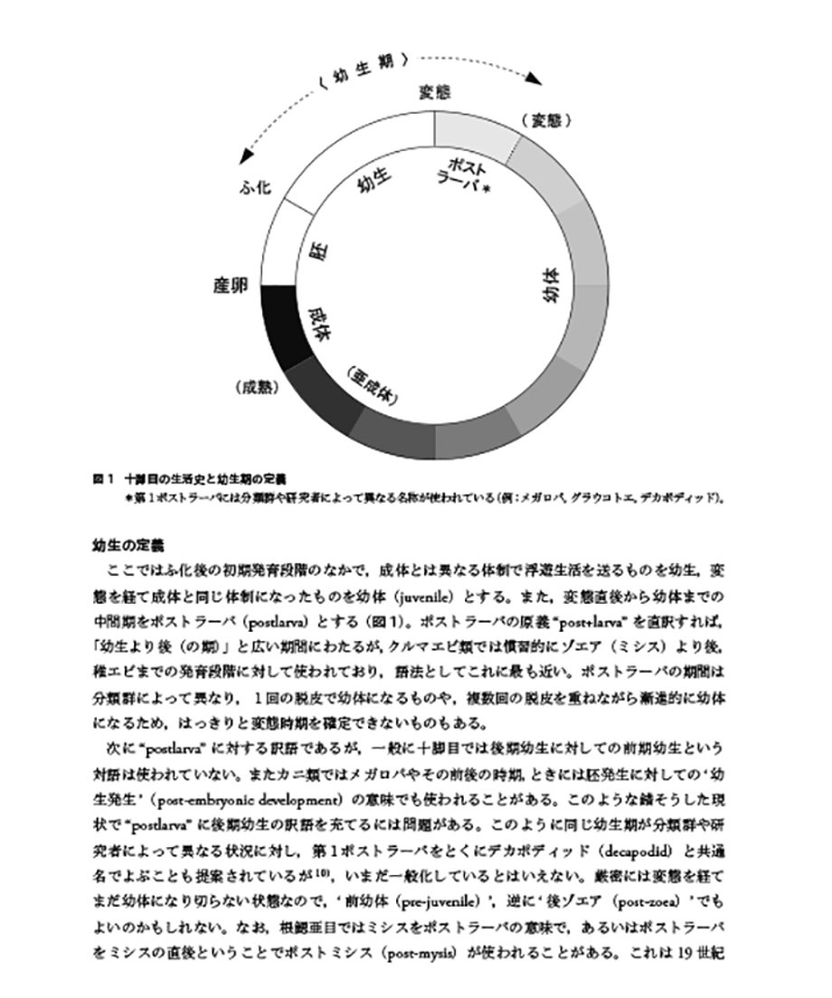 67c6a67d0662f2052cd11073