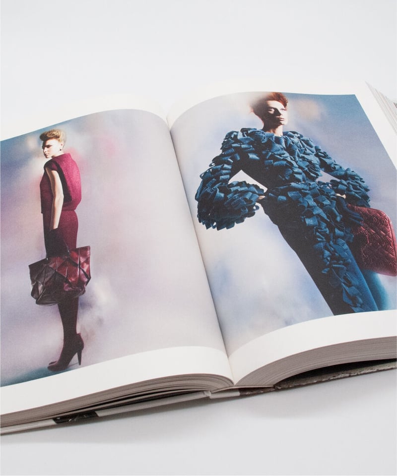 Bottega Veneta: Art of Collaboration | bigsmall...