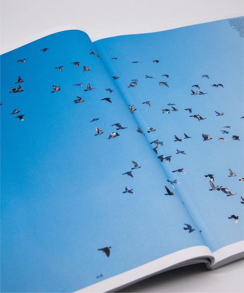 Victory Journal 雑誌3冊 VICTORY JOURNAL #19 | bigsmall books