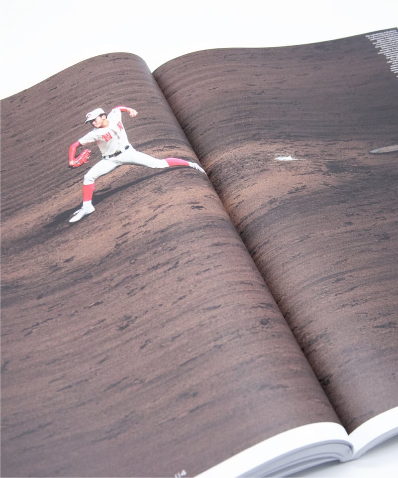 VICTORY JOURNAL #19 | bigsmall books