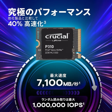 Crucial SSD P310SSD2