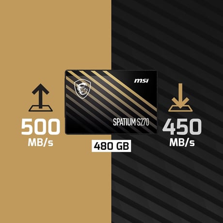 MSI SPATIUM SSD S270