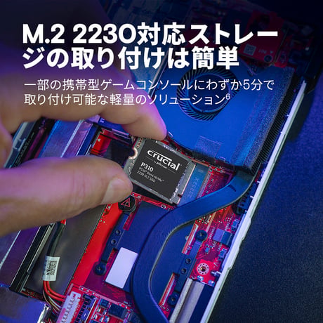 Crucial SSD P310SSD2