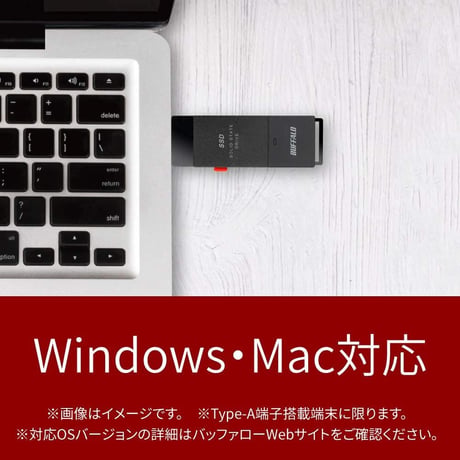 BUFFALO SSD-SCH*** USB SSD