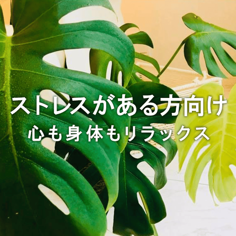 5e0d69046c7d632fbb5e294f