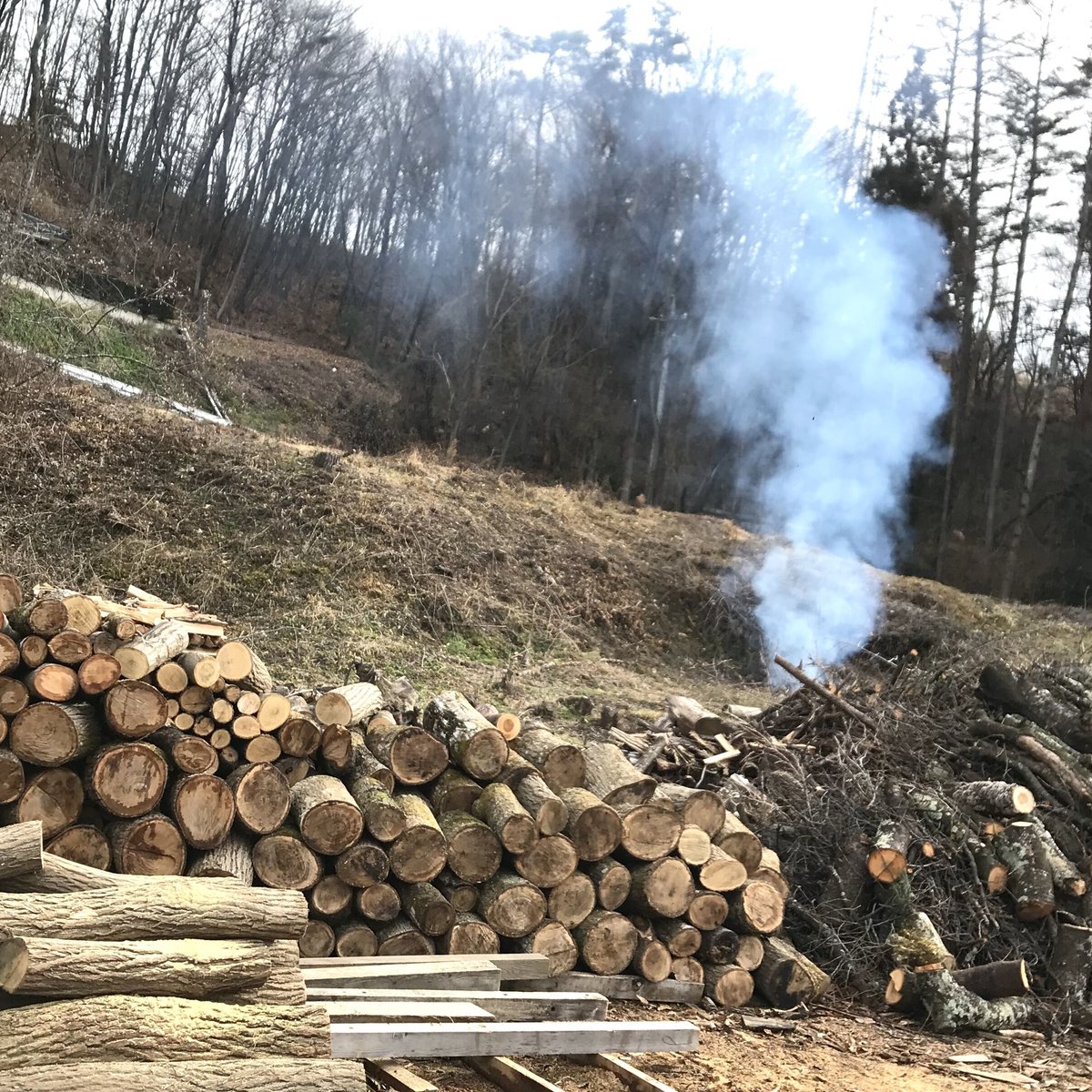 薪 針葉樹(杉,檜)薪棚いっぱい約300〜400kg