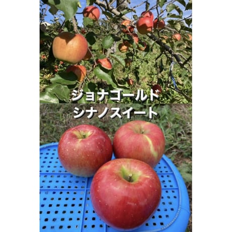 食べくらべセットA　約５kg（シナノスイート＆ジョナゴールド）【農薬約35%削減】