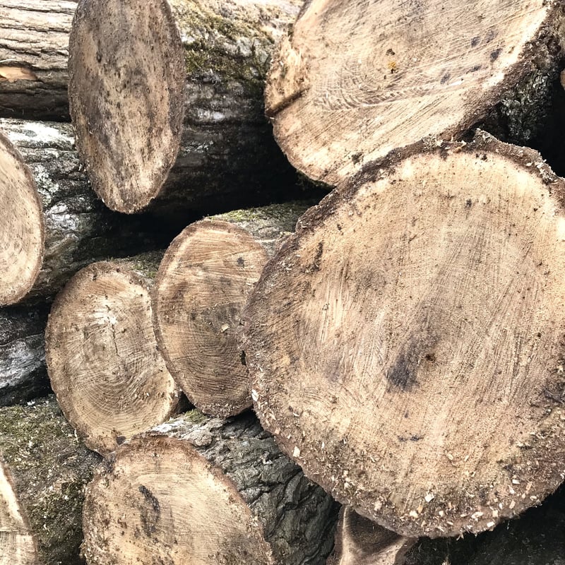 現地調達価格】わっこ谷の薪（桜・アカシアなど）タガ薪 1束 | 山福商店