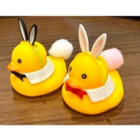 【お試し限定販売】うさ耳あひる