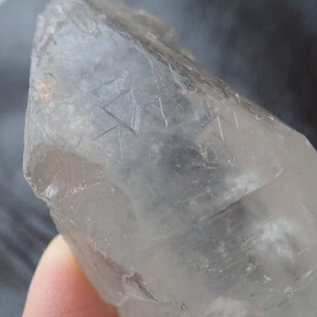 トライゴーニック | STORES