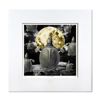 No.0048 「Spawning of the full moon」満月の産卵