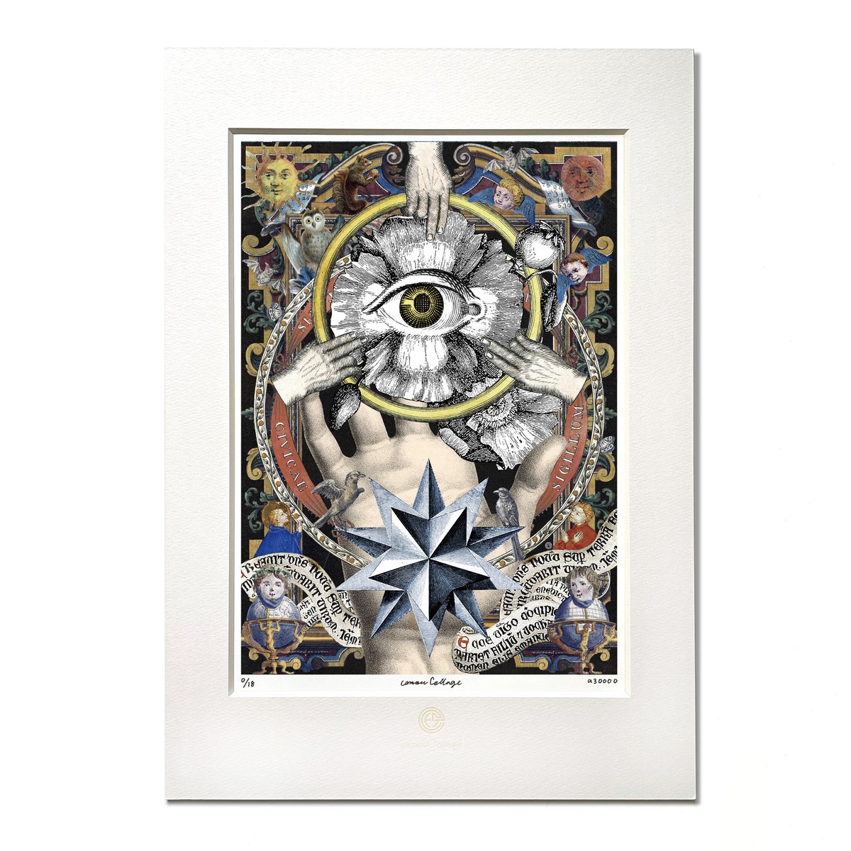 A3_No.008「True eyesⅡ」真実の目 | camouCollage