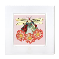 No.0026 「Queen of dragonfly」トンボの女王