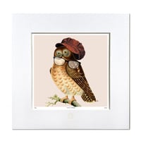 No.0013 「Owl glasses」フクロウのメガネ