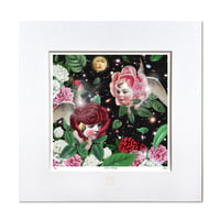 No.0084「 Rose angels」バラ天使