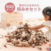 大量積み木セット