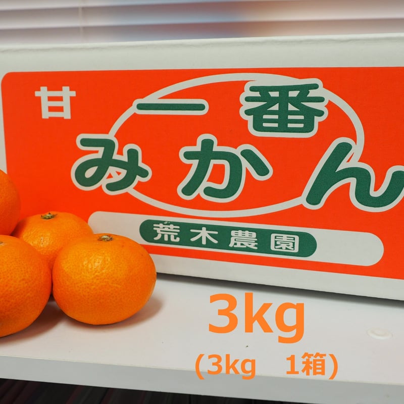 温州みかん 3kg 荒木農園の一番みかん | みかんの荒木農園