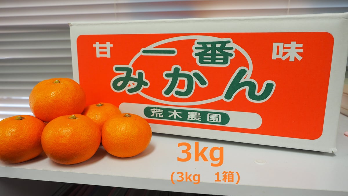 温州みかん 3kg 荒木農園の一番みかん | みかんの荒木農園