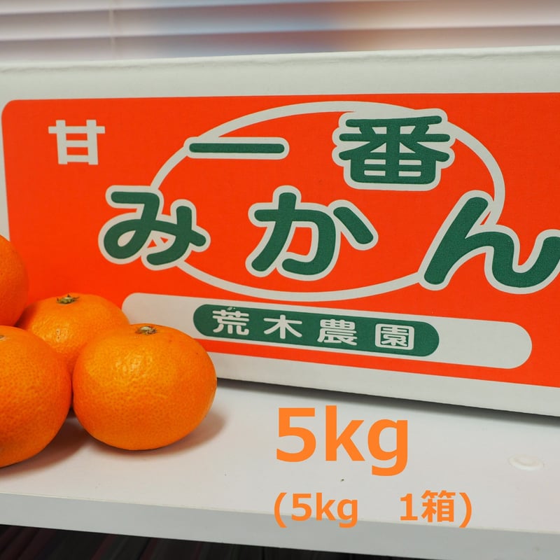温州みかん 5kg 荒木農園の一番みかん | みかんの荒木農園