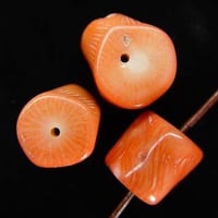 <16-9>珊瑚　ボーン12～16mm【1個】