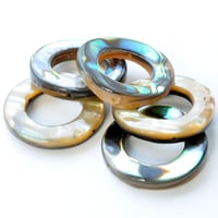 アバローニ　シェルドーナツ 18mm【1個】