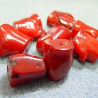 ナチュラル珊瑚　ボーン15～18mm【1個】
