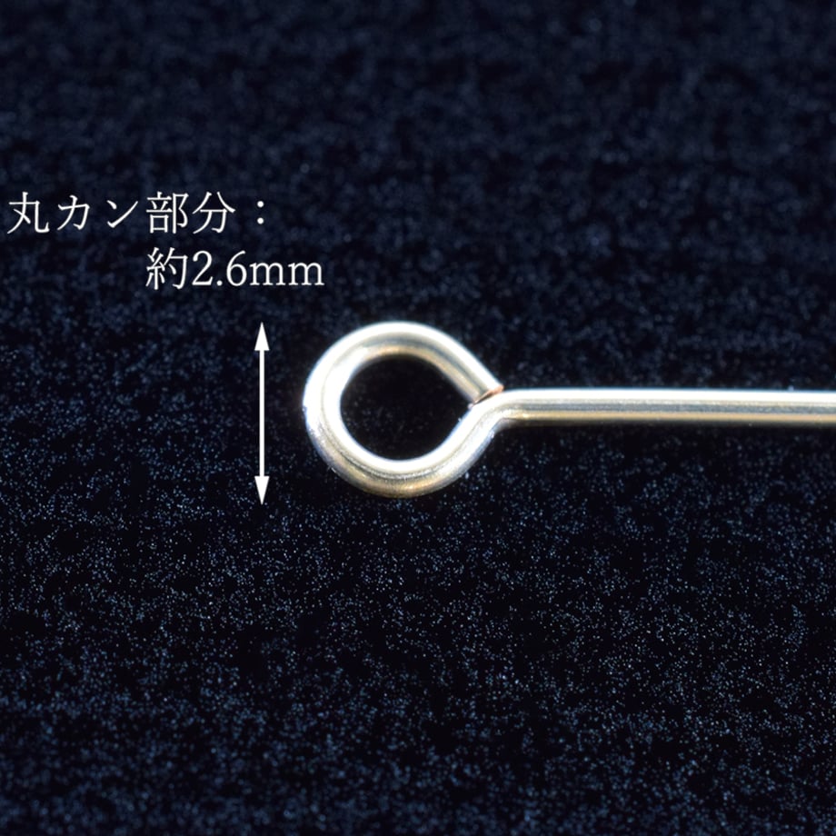 5db041b748137302919e1007