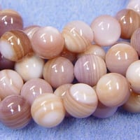 シェルビーズ　パープルシェル　8mm  丸玉