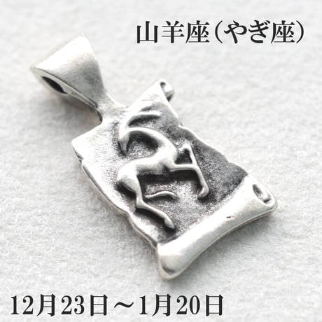 12星座各種メタルチャーム　10個