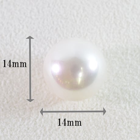 シェル コーティングパール 14mm  【1個】