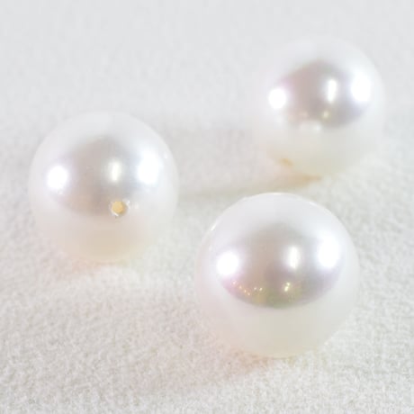 シェル コーティングパール 14mm  【1個】