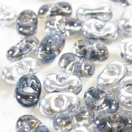 ファルファーレ (大)　ブルースター