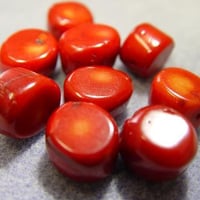 ナチュラル珊瑚　茎輪カット14～18mm【1個】