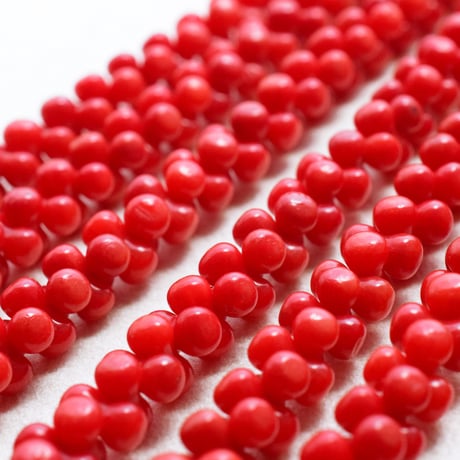 CATEGORY サンゴ | beads lot CATEGORY サンゴ | beads lot
